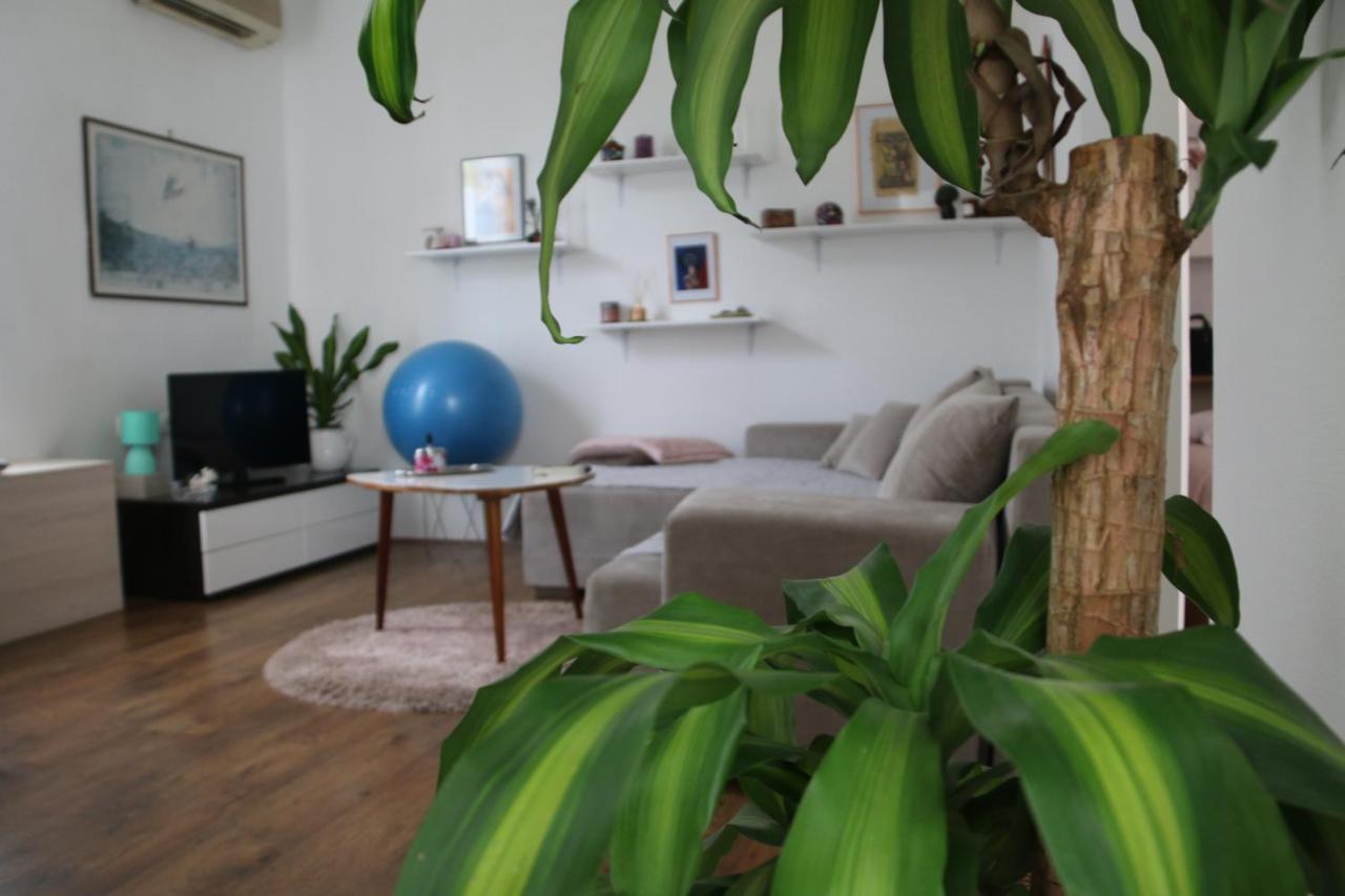 Cosy Apartment - 10 Minutes Walk To Sea Ζαντάρ Εξωτερικό φωτογραφία